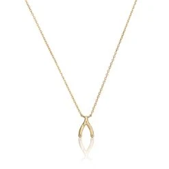 Gold Wishbone Necklace