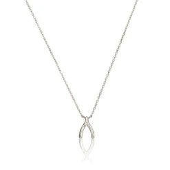 Silver Wishbone Necklace