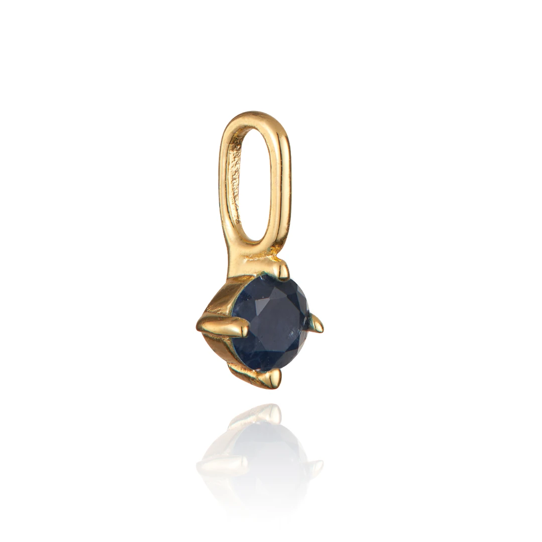 Gold Small Individual Birthstone Charm - Image 6