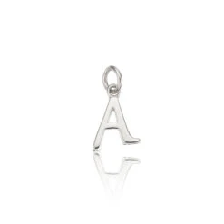 Silver Individual Curve Initial Charm